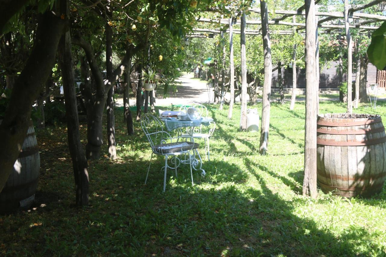 Apartamento Emy'S Country House Castellammare di Stabia Exterior foto